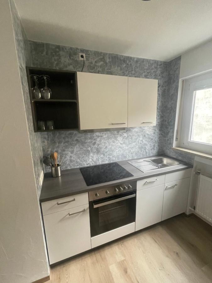 Ferienwohnung Roeck Hornberg Exteriér fotografie